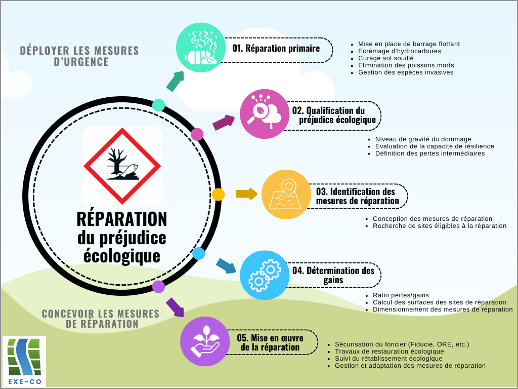 Réparation du préjudice écologique